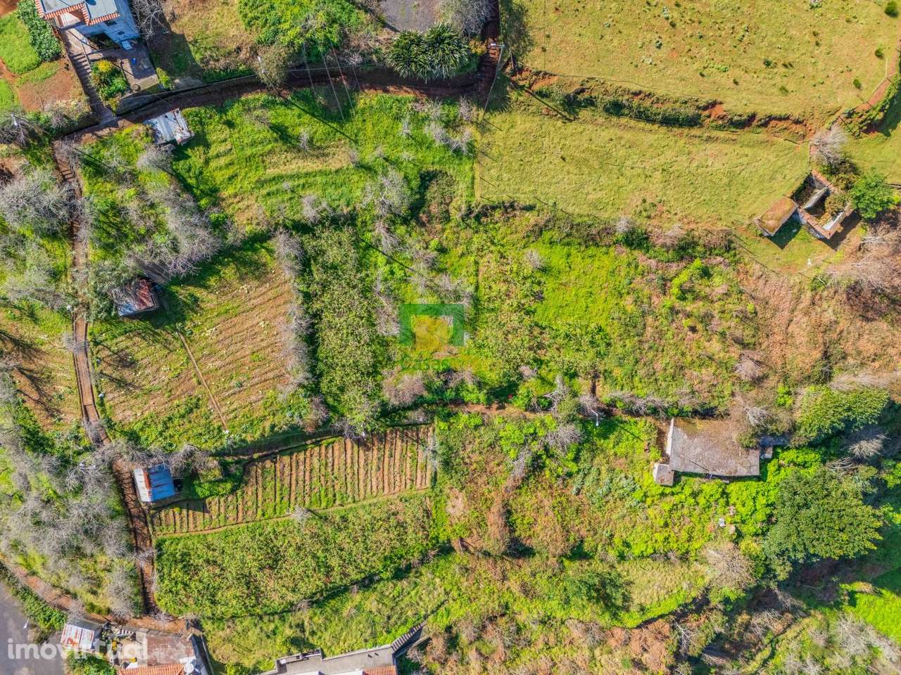 Terreno - São Roque  do Faial - Grande imagem: 4/13