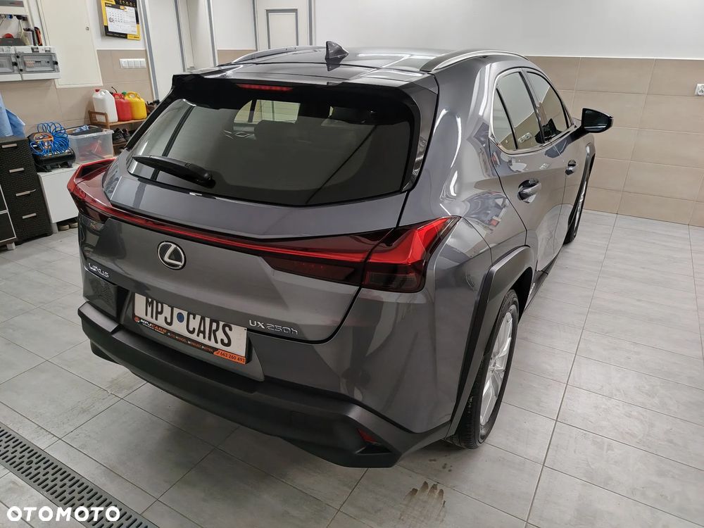Lexus UX 250h Elegance 2WD - 13