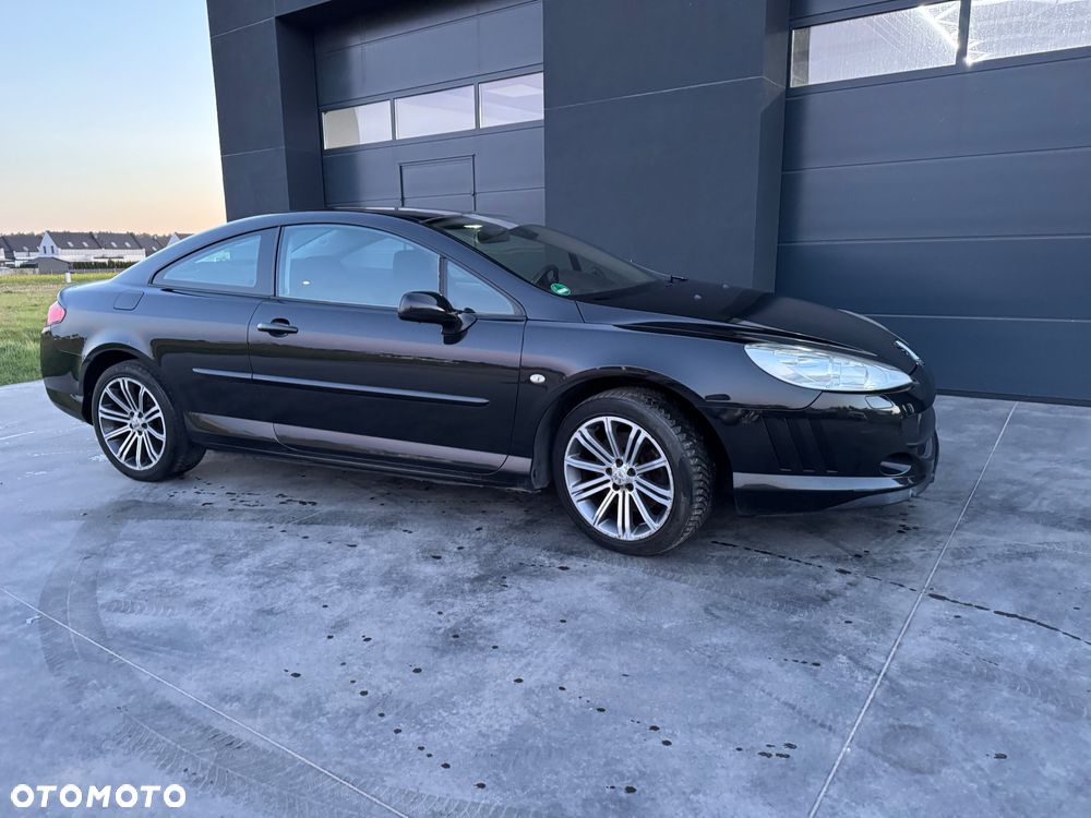 Peugeot 407 165 Sport - 12