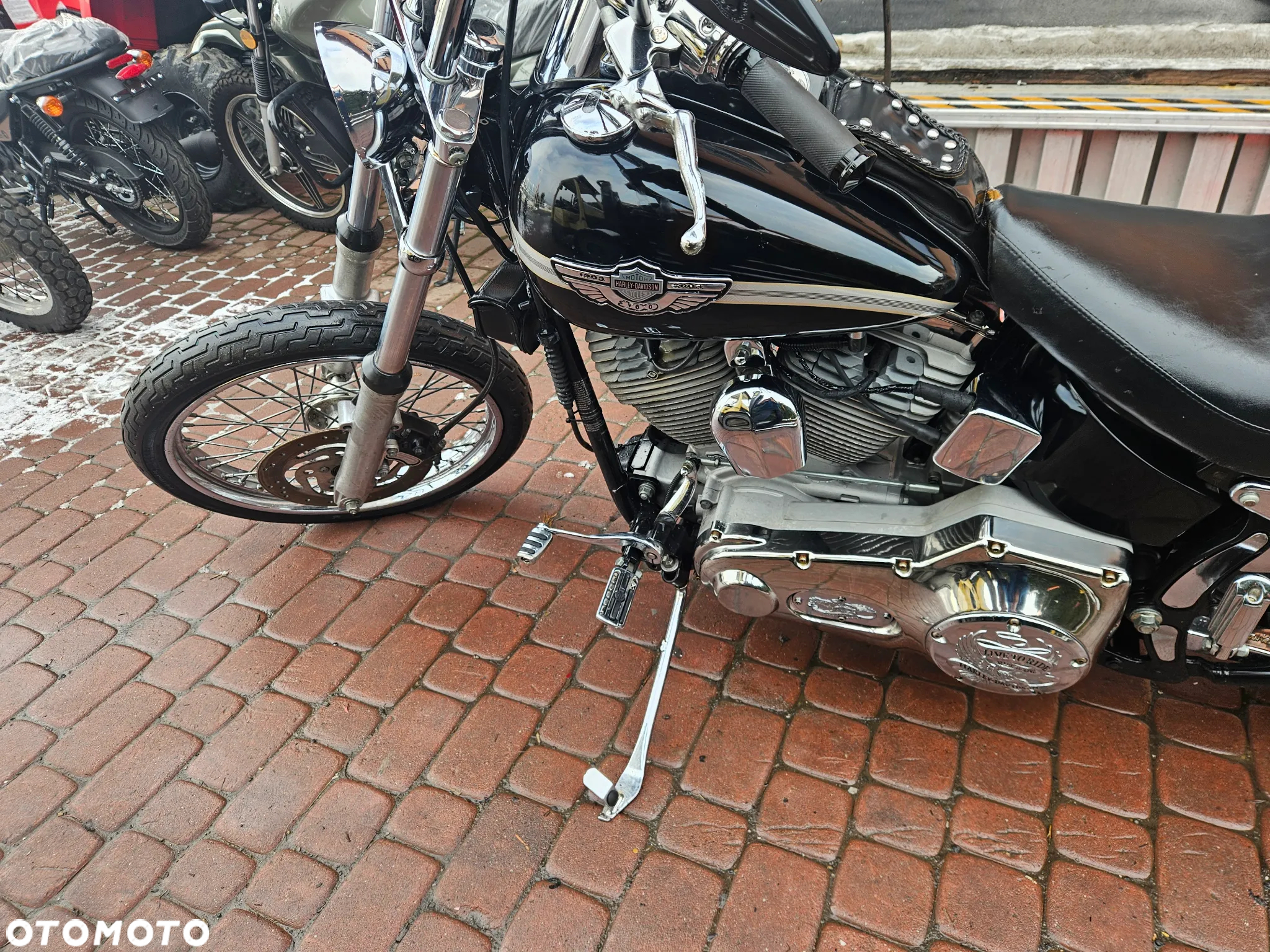 Harley-Davidson Softail Standard - 33