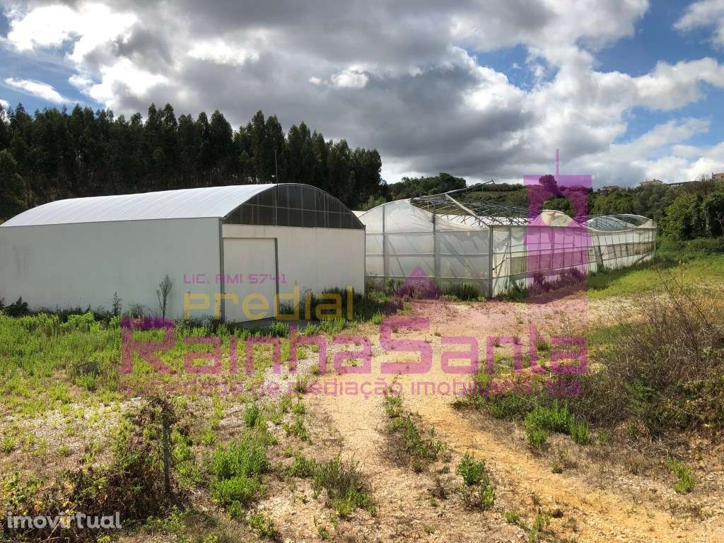 Terreno Agrícola com Estufas Hidropónicas - Soure - Grande imagem: 2/28