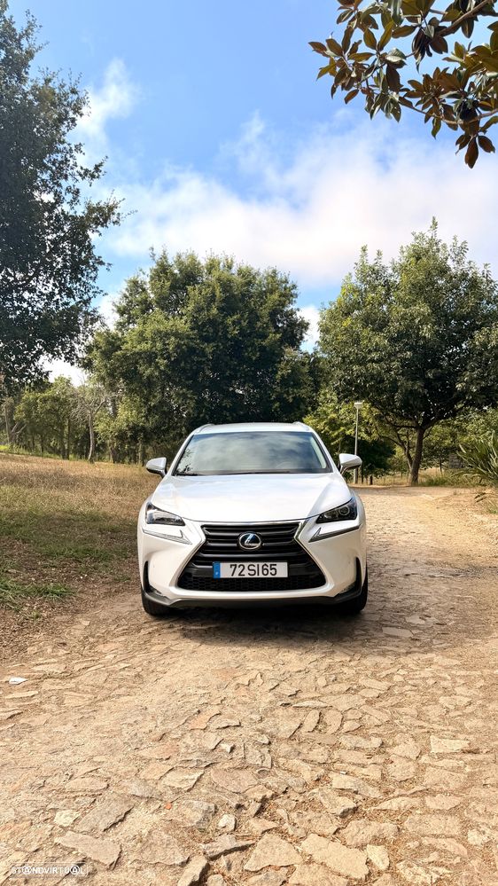 Lexus NX 300h F Sport 4WD - 2