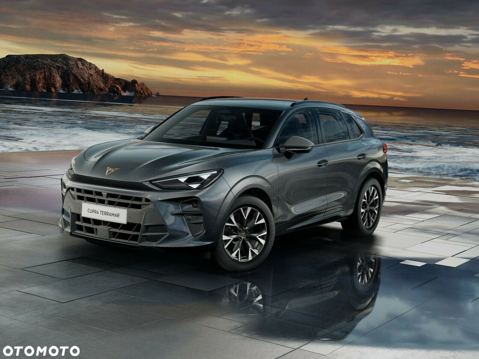 Cupra Terramar - 2