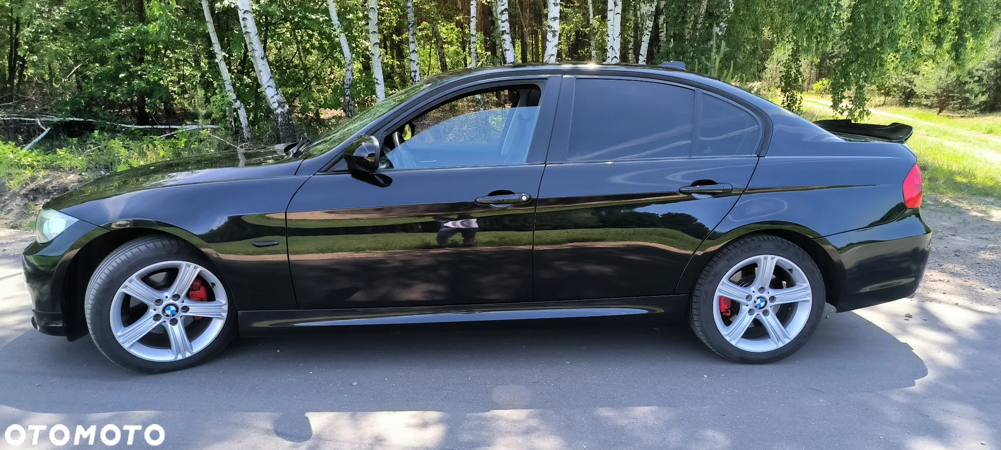 BMW Seria 3 318i - 16