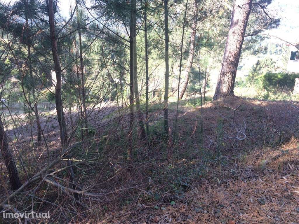 Lote de Terreno para Construção - Grande imagem: 5/10