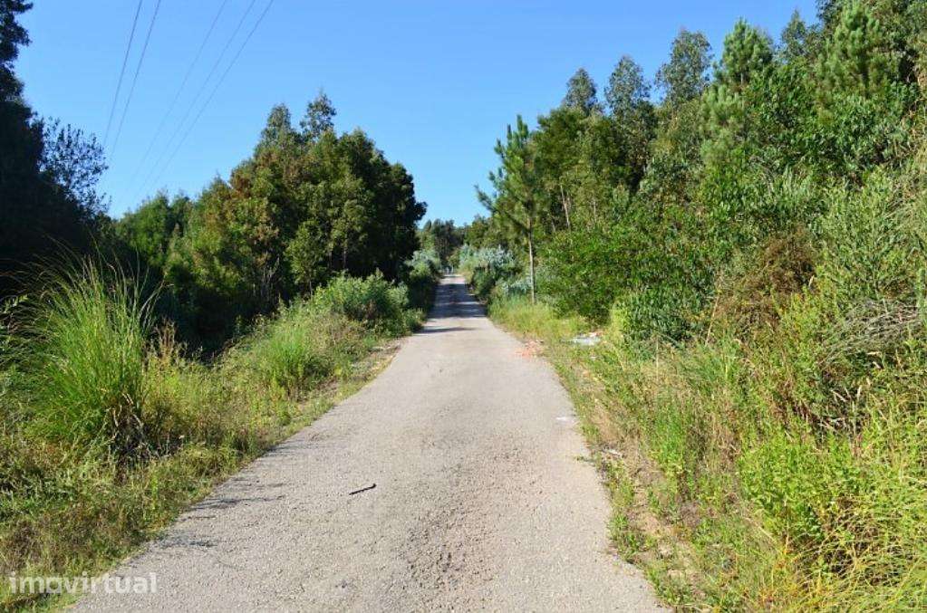 Terreno Rustico C/ 25.000m2 com viabilidade para construção em Gondoma - Grande imagem: 2/10