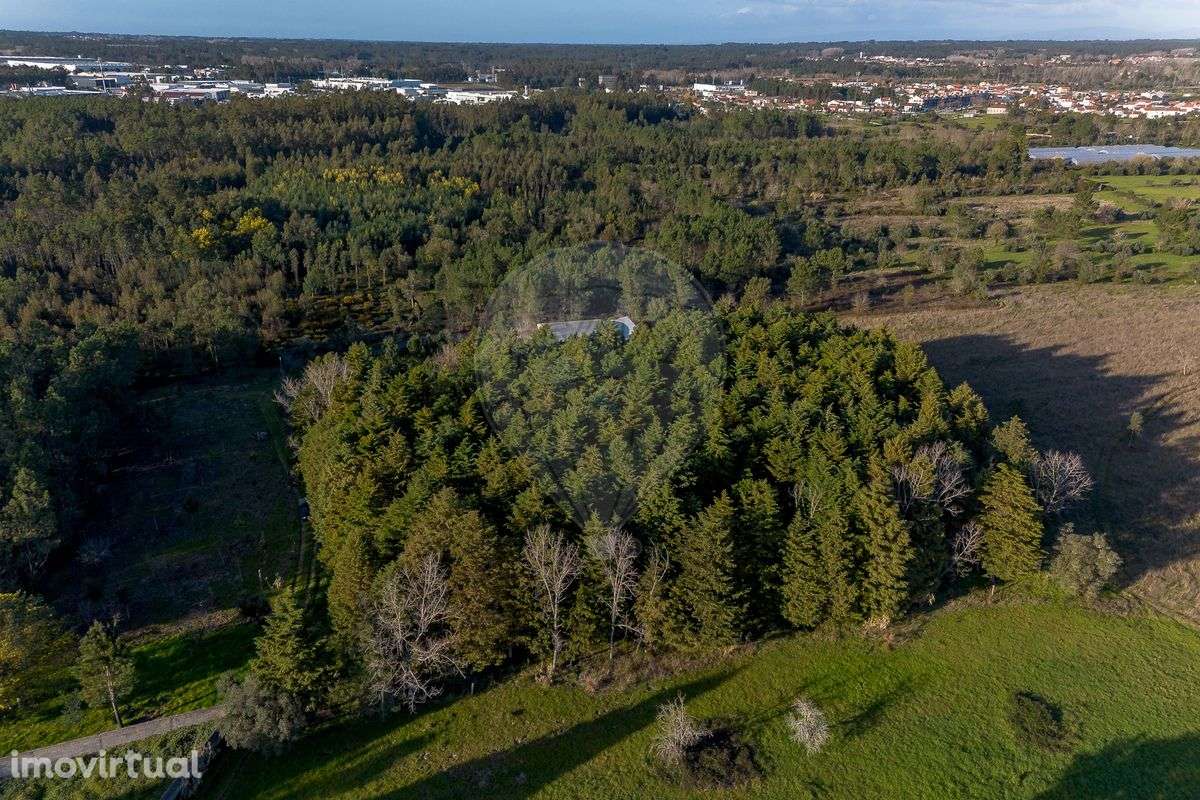 Terreno  para venda - Grande imagem: 4/13