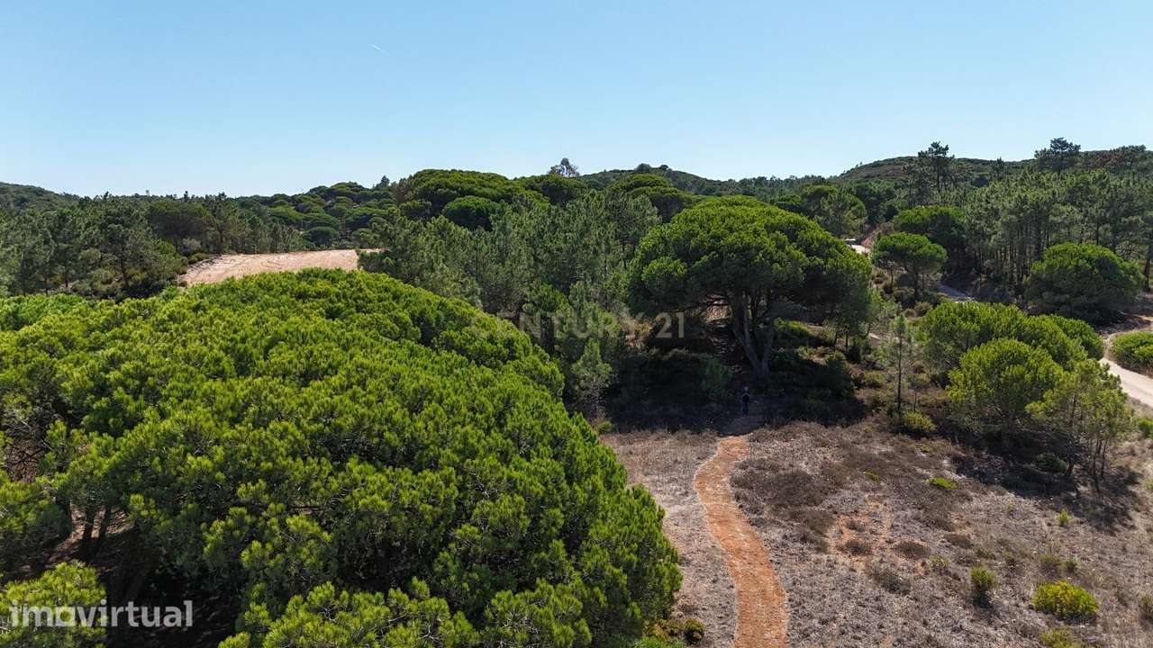 Terreno com área de 10.000m2 com projeto aprovado perto da Aldeia do M - Grande imagem: 2/18