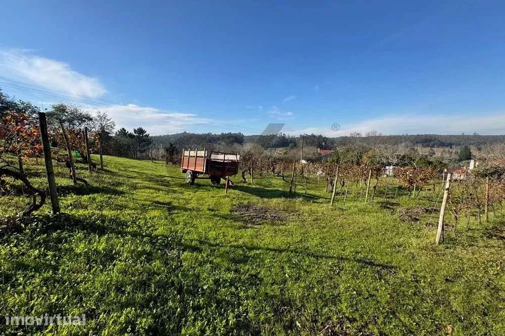 Terreno Urbano em Vil de Matos, Coimbra – Um Investimento com Potencia - Grande imagem: 2/13