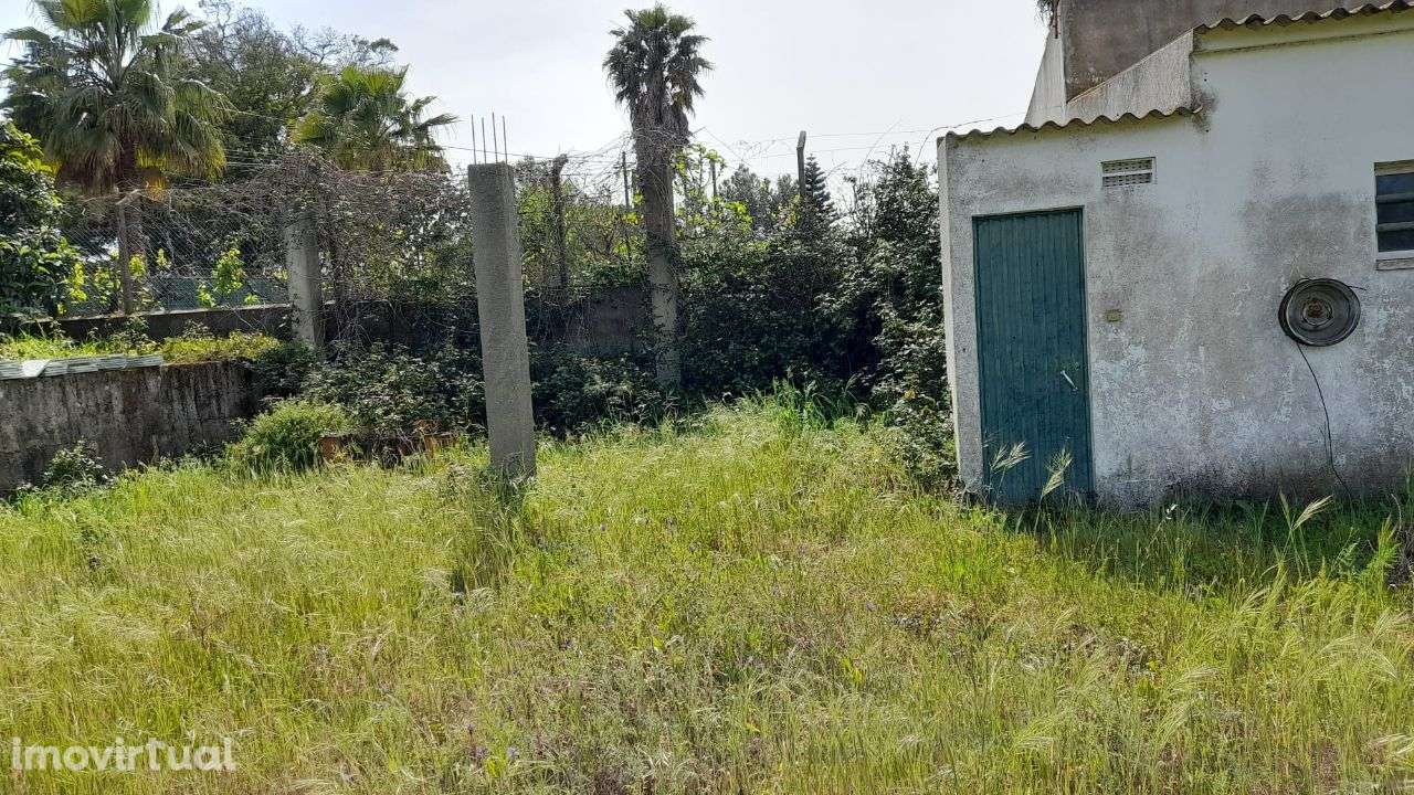 Setúbal/Padeiras Quinta 5000m2 para moradia. - Grande imagem: 5/20
