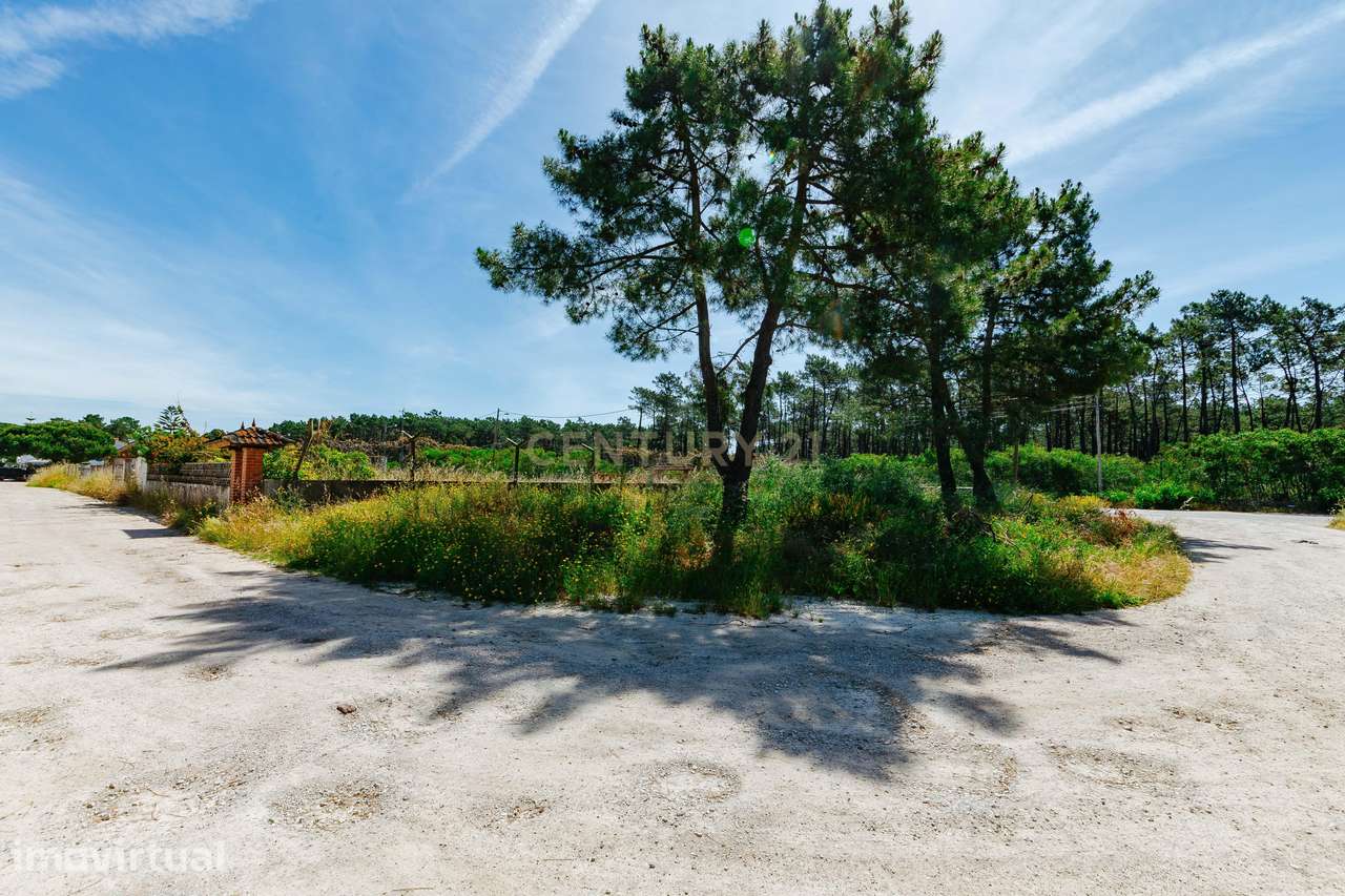Terreno Urbano na Charneca de Caparica | Pinhal da Aroeira - Grande imagem: 2/13