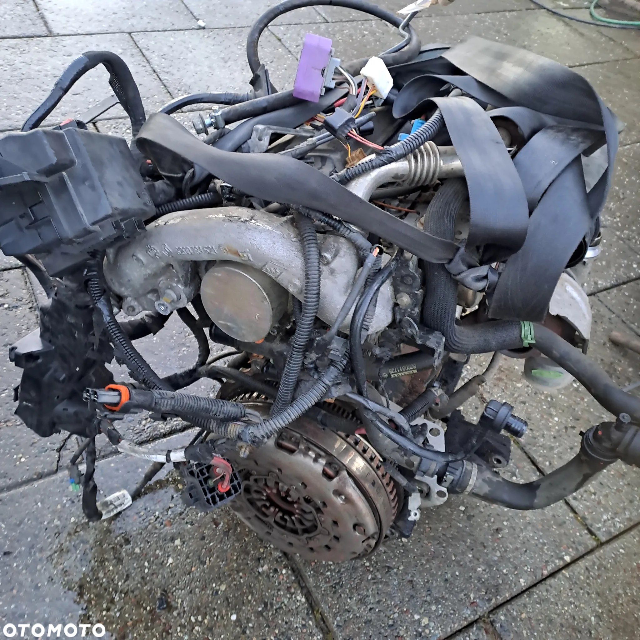 Renault Scenic III 1.9 DCi 131KM silnik kompletny kod F9Q872 F9Q870 niski przebieg - 6