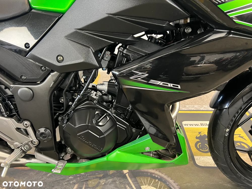 Kawasaki Z - 11