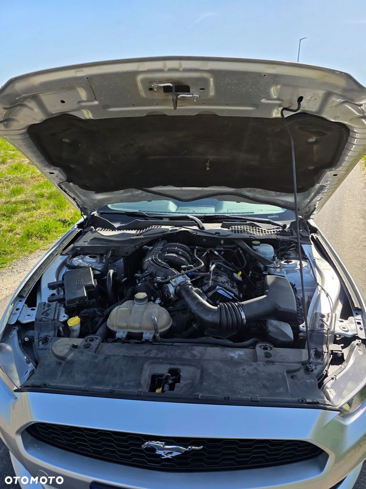 Ford Mustang 3.7 V6 - 37