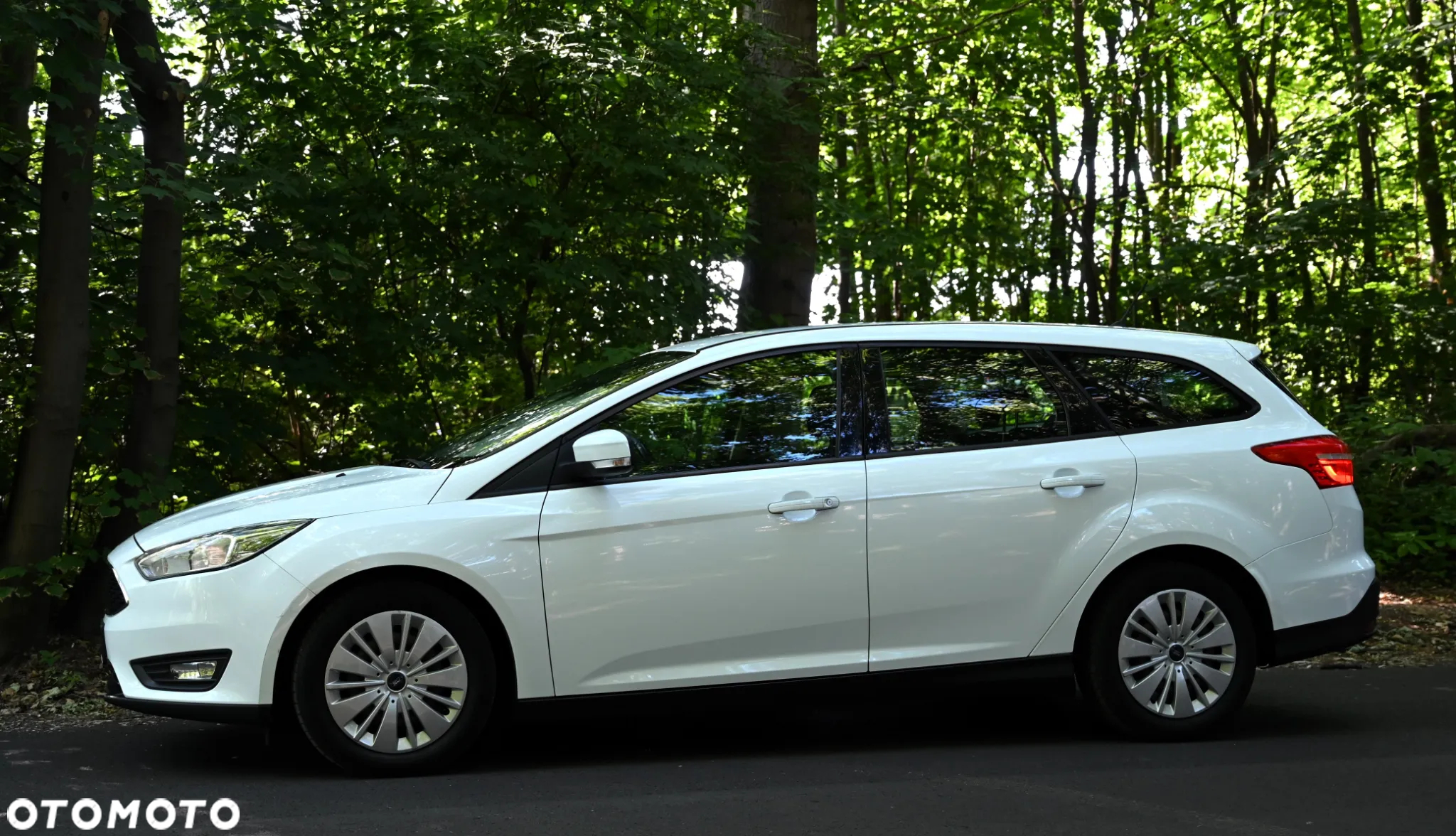 Ford Focus - 25