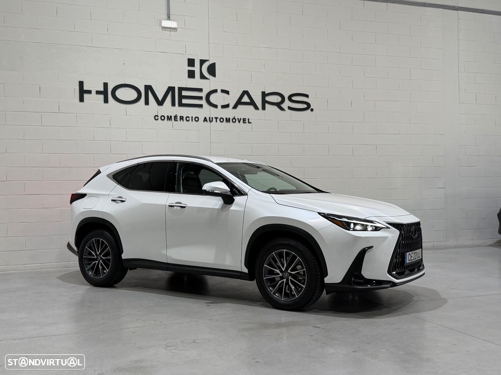 Lexus NX 450h+ Executive - 10