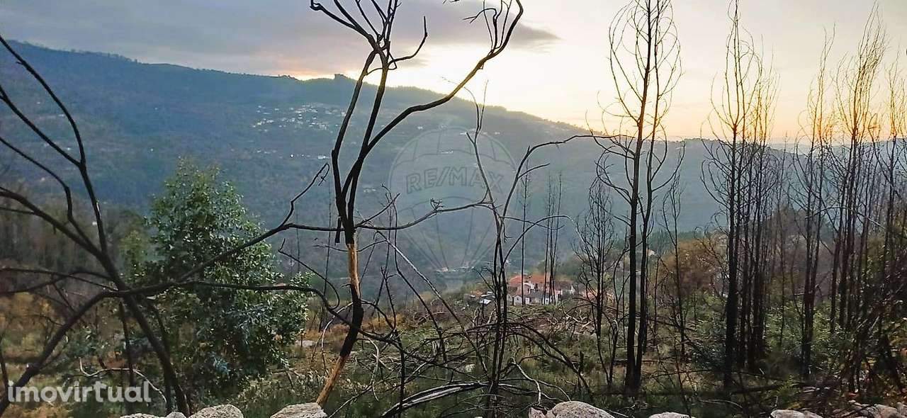 Terreno  para venda - Grande imagem: 3/5