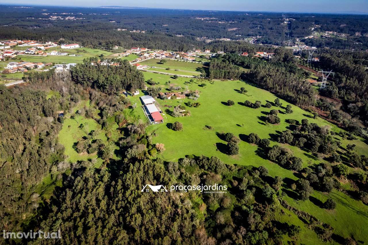 Magnifica Quinta em Zona Tranquila - Grande imagem: 5/40