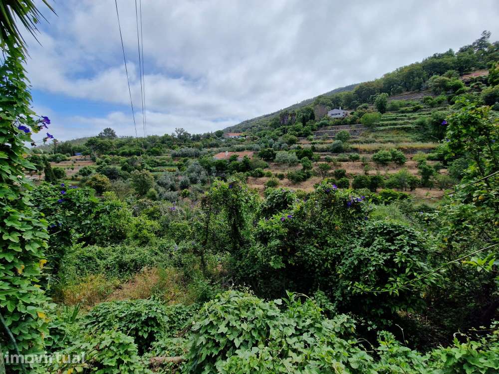 Terreno com Casa para Recuperar - Malhada Quente, Monchique - Grande imagem: 2/24