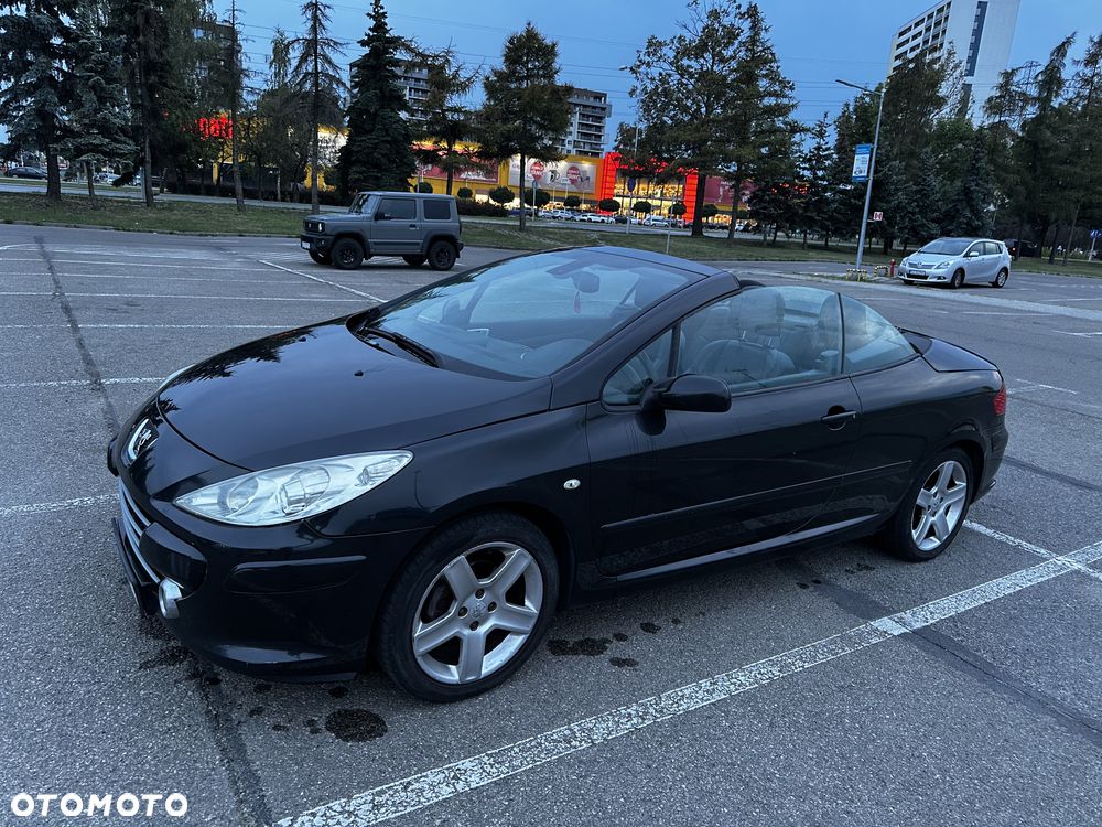 Peugeot 307 CC - 21