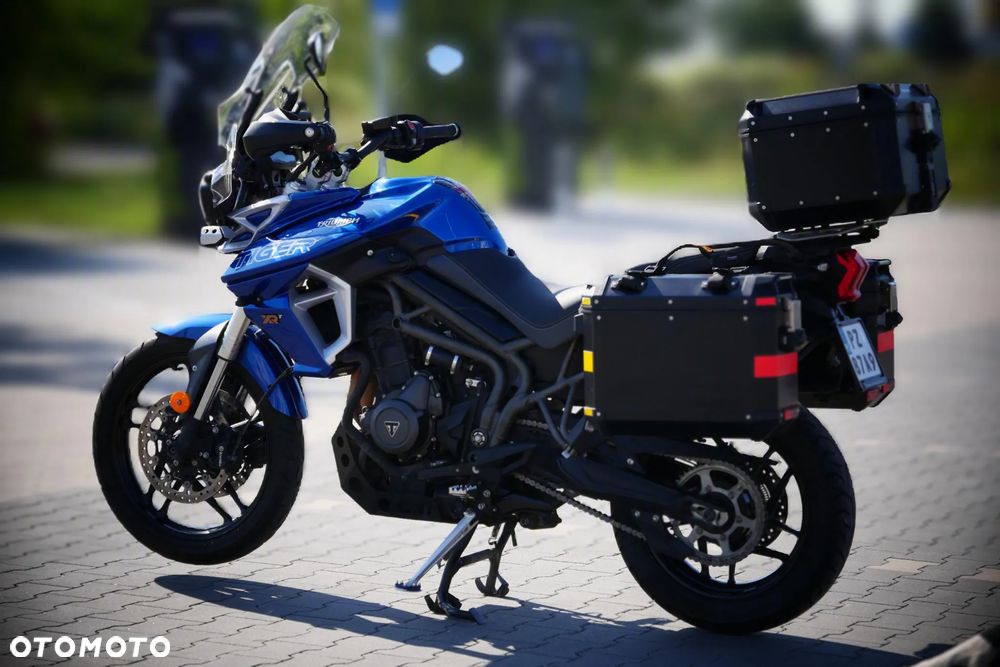 Triumph Tiger - 6