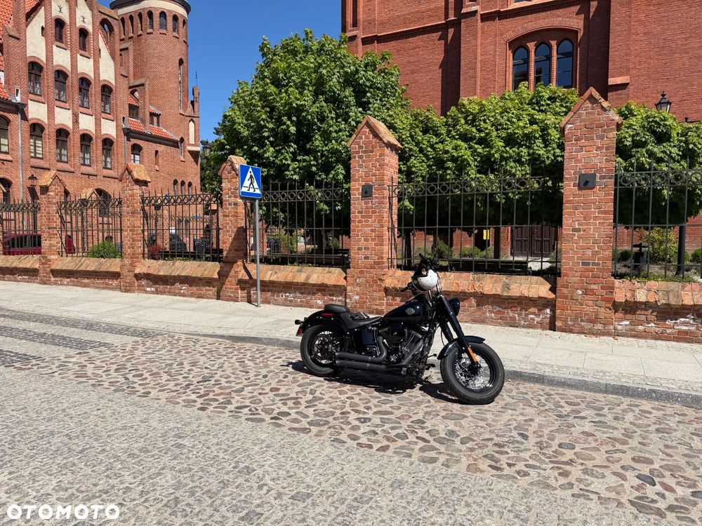 Harley-Davidson Softail Slim - 7