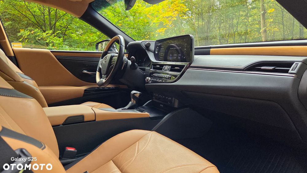 Lexus ES 300h Prestige - 13