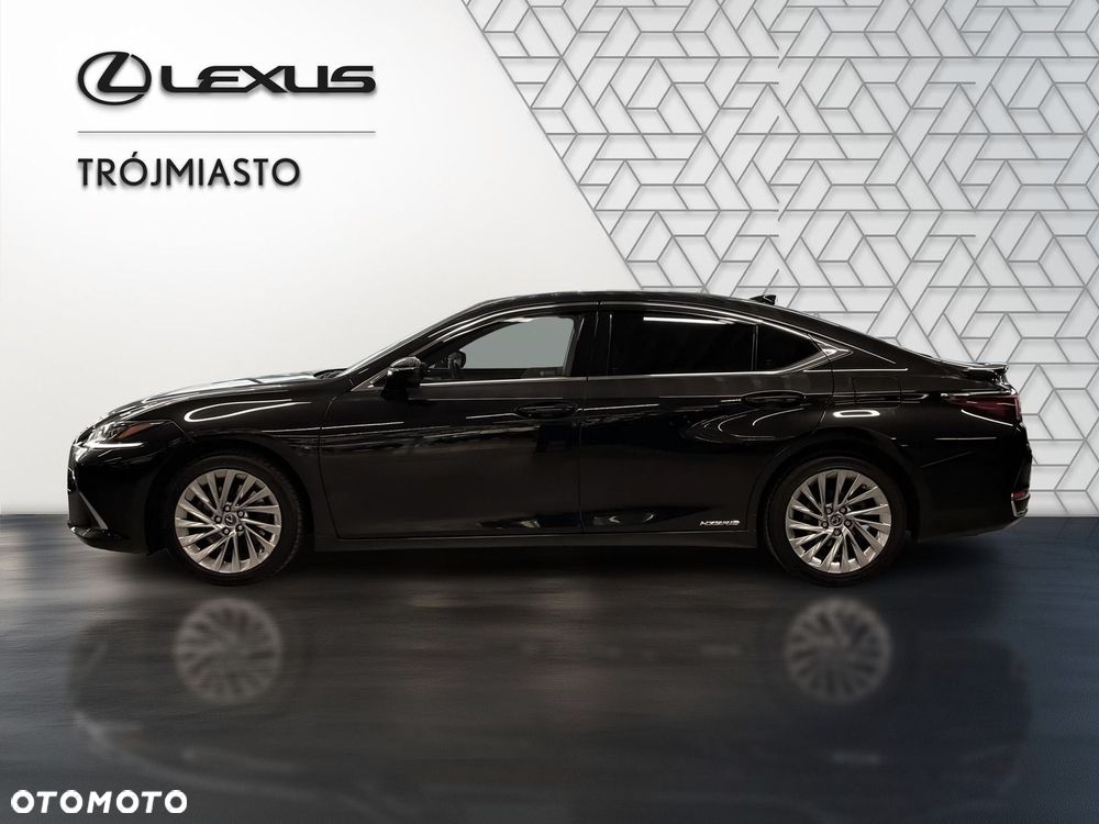 Lexus ES 300h Omotenashi - 8