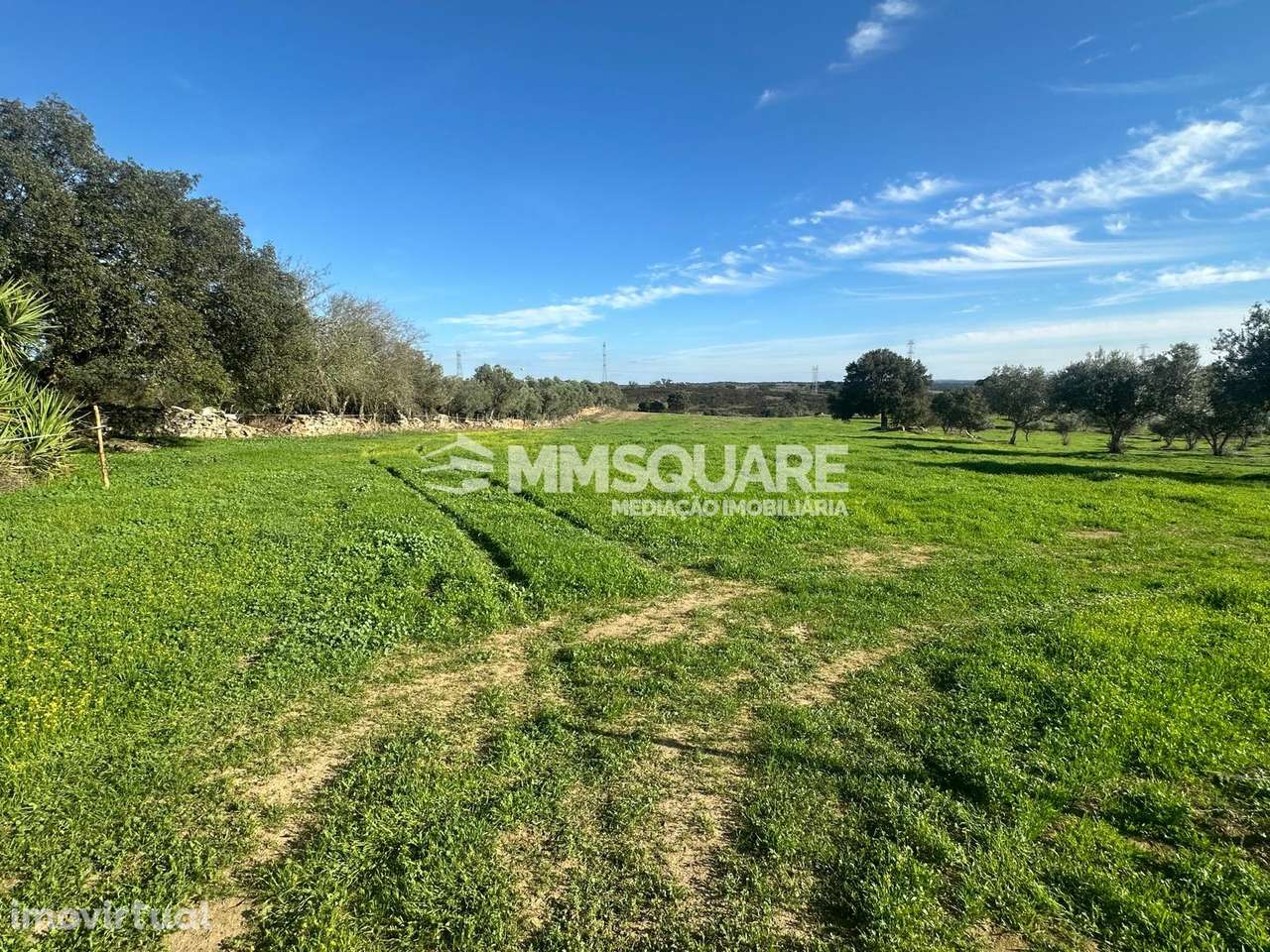 Quintinha T1 Venda em Ourique,Ourique - Grande imagem: 3/9