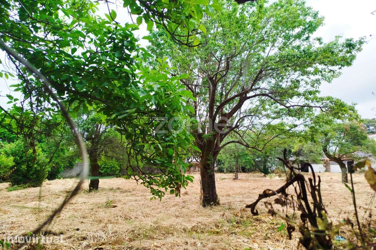 ÍLHAVO, S. Salvador - TERRENO para Construção - Grande imagem: 5/23