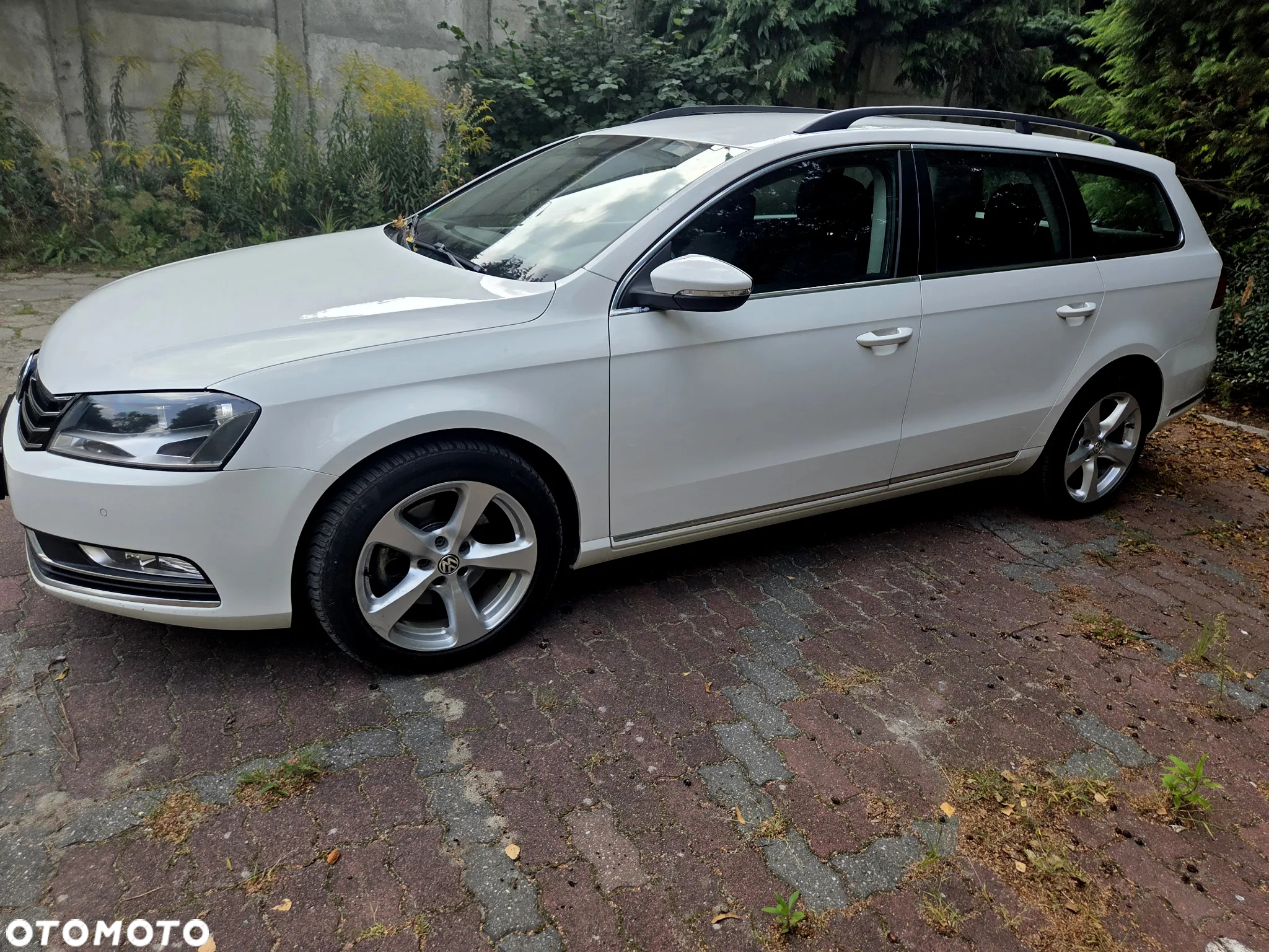 Volkswagen Passat - 3