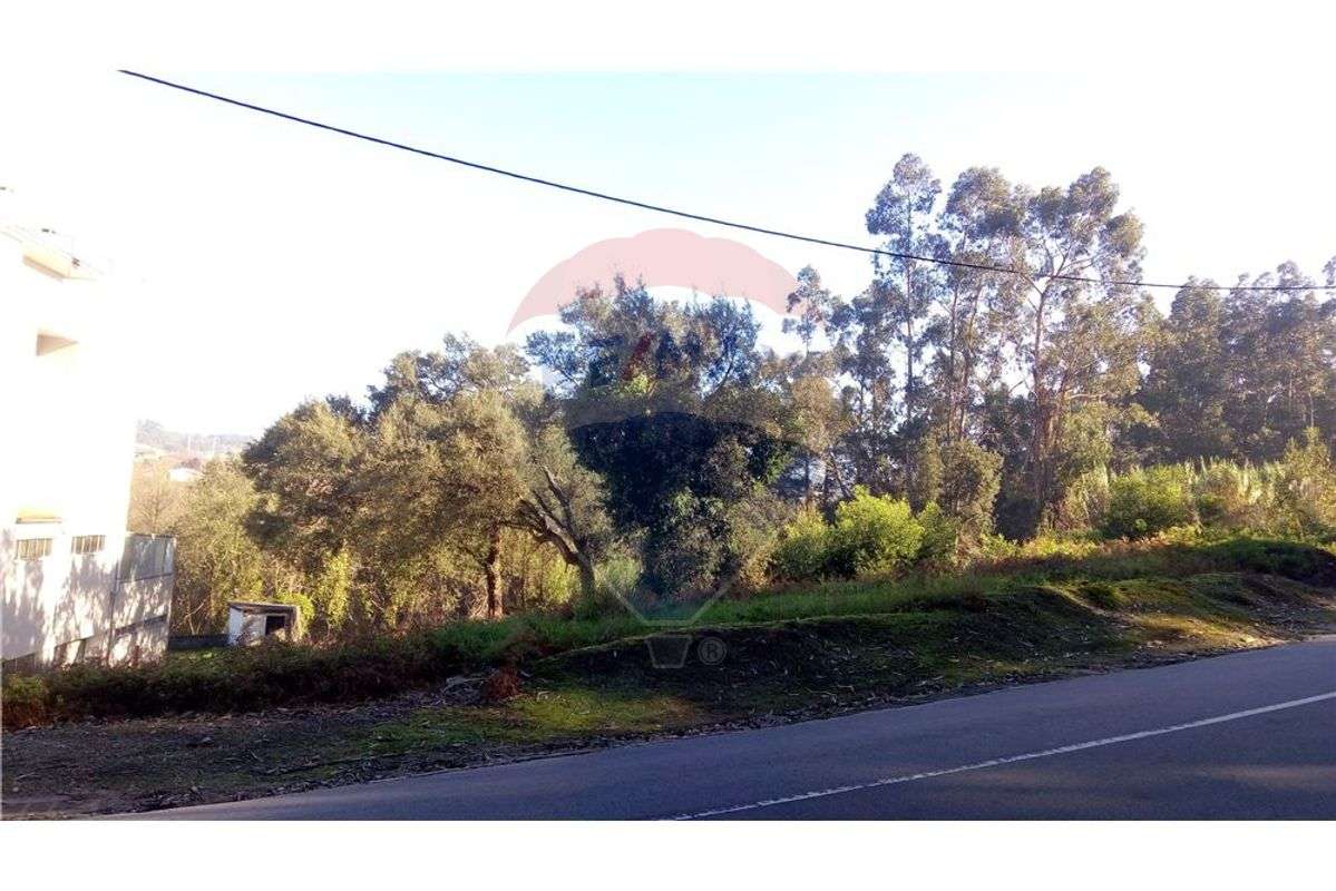Terreno T0 para venda - Grande imagem: 3/7