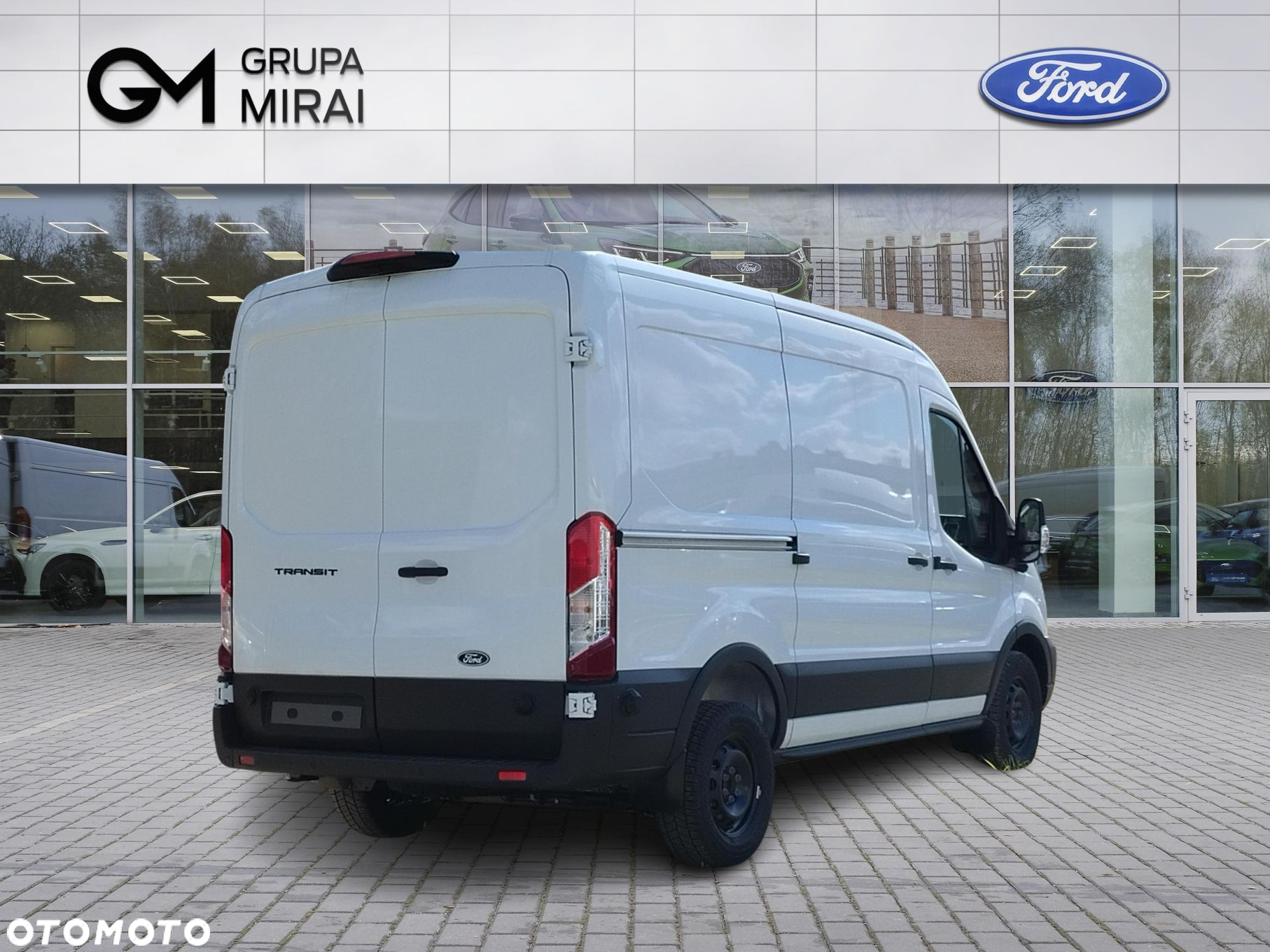 Ford transit - 5