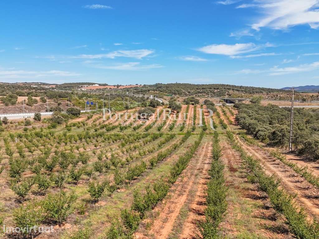Terreno com 4ha com aptidão para construção de unidade de turismo - Grande imagem: 3/16