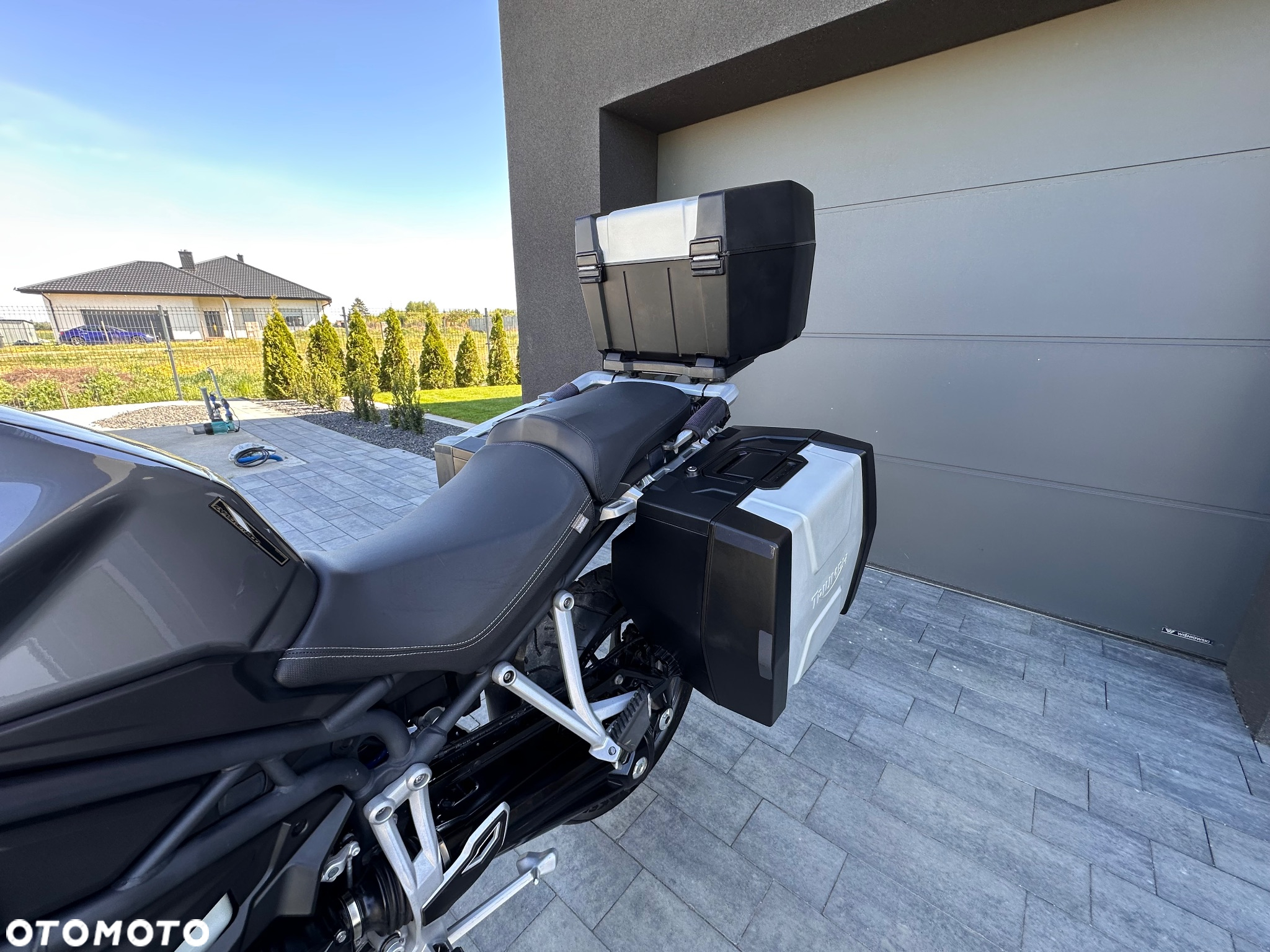 Triumph Tiger - 11