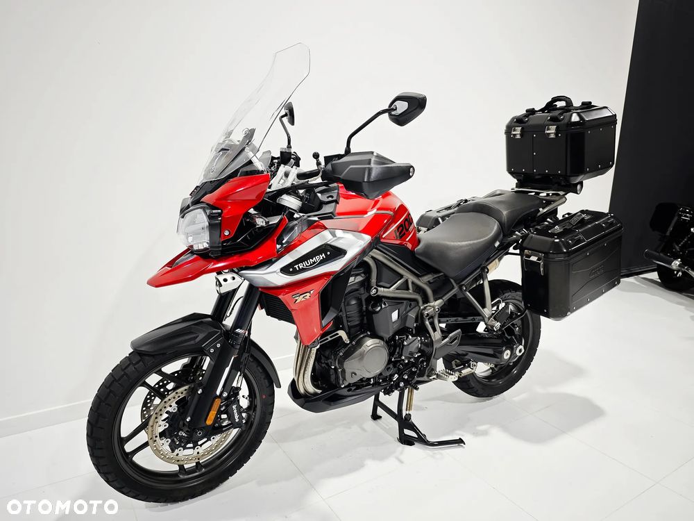 Triumph Tiger - 19