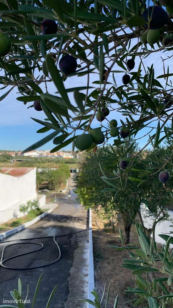 Terreno Rústico em Sobreda, Almada - Grande imagem: 4/21