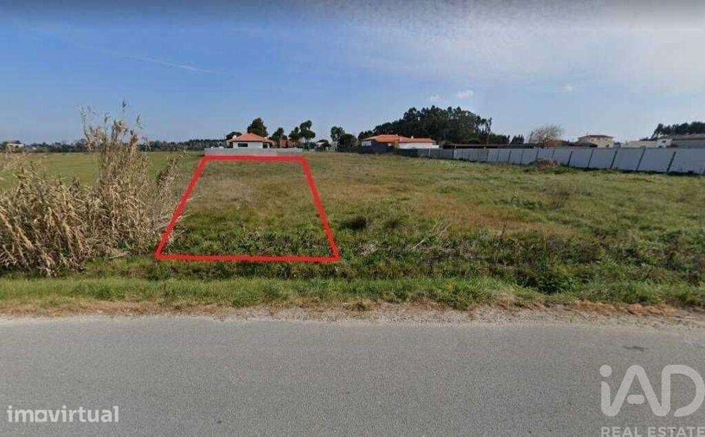 Terreno em Vagos e Santo António