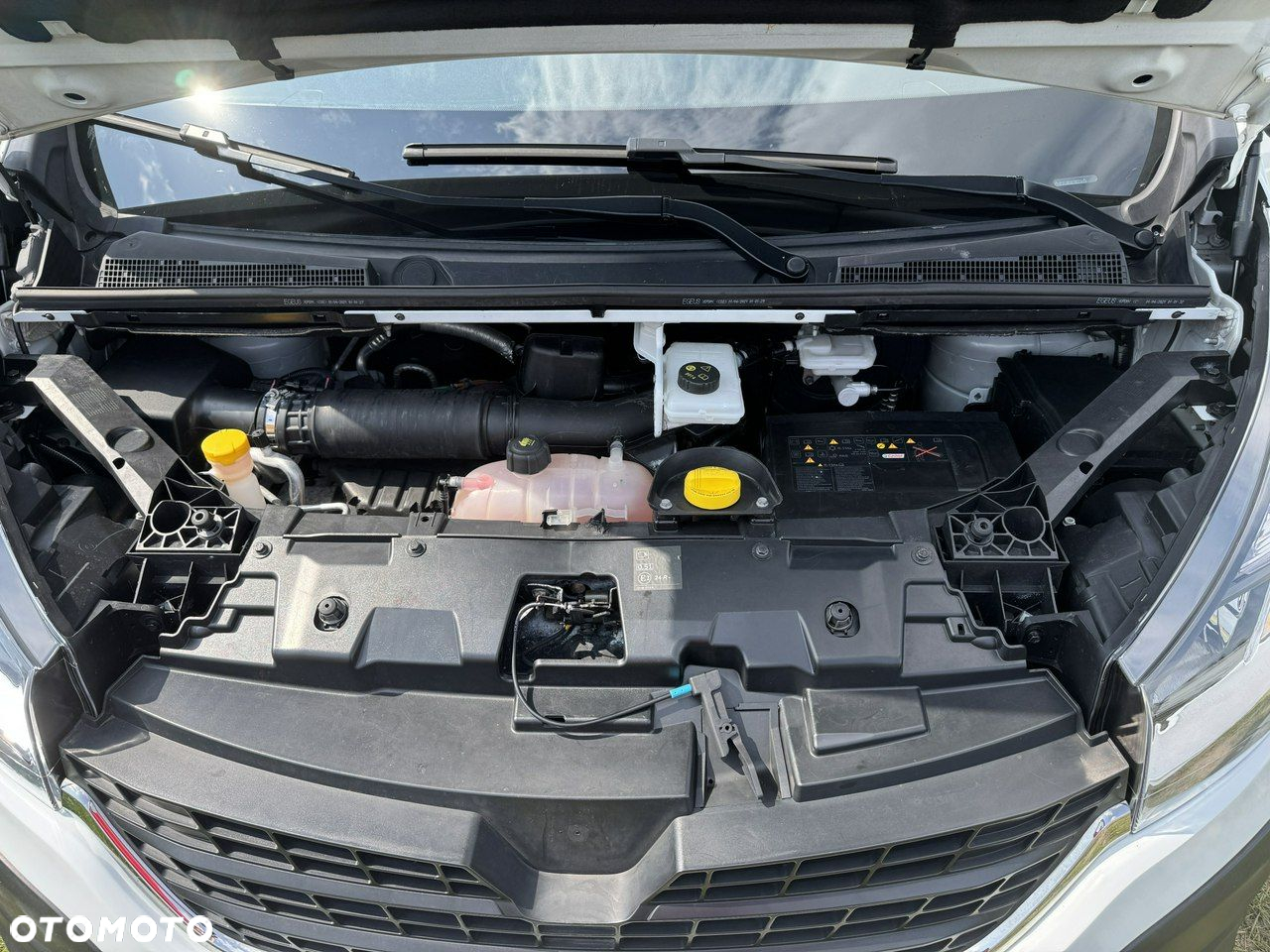 Renault Trafic - 20