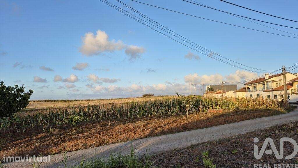 Terreno Agrícola em Bárrio - Grande imagem: 2/10