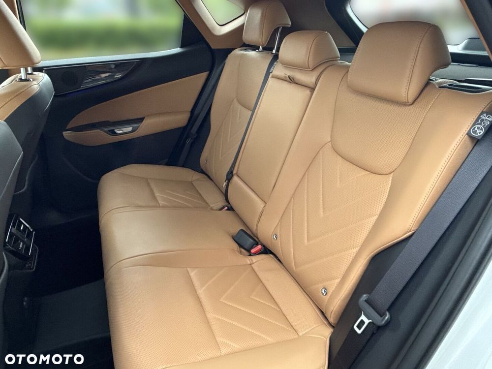 Lexus NX - 18