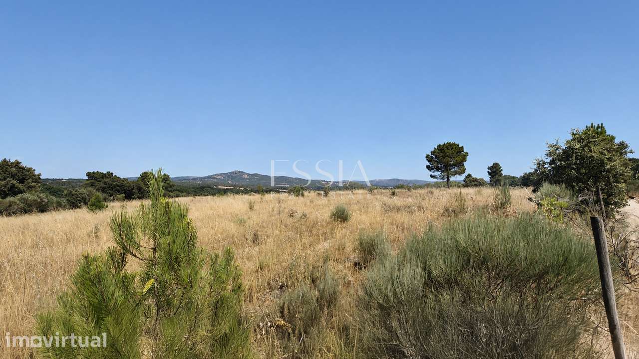 Quinta com 21,6 Hectares em Celorico da Beira - Grande imagem: 5/17