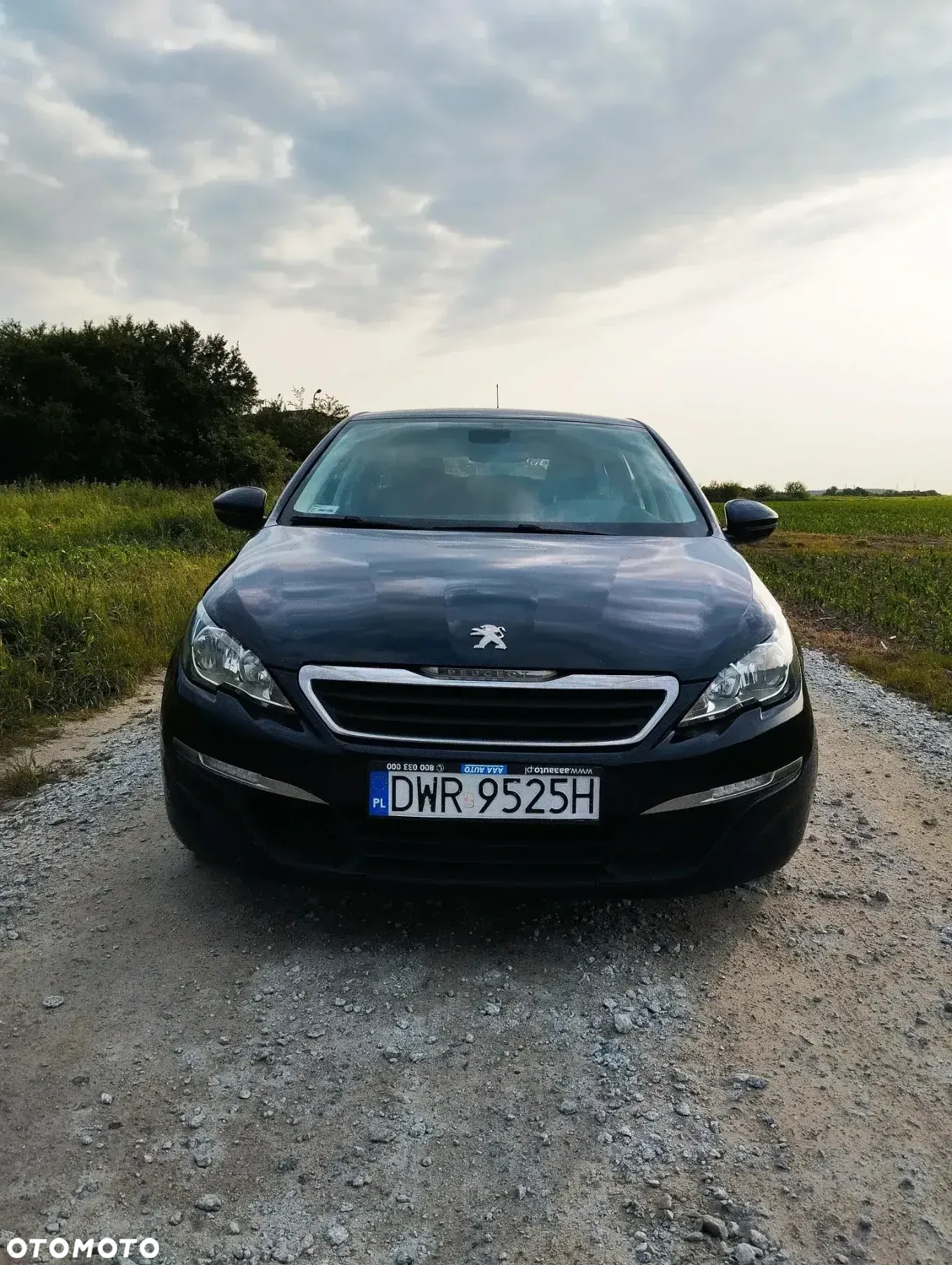 Peugeot 308 1.2 PureTech Active S&S - 17