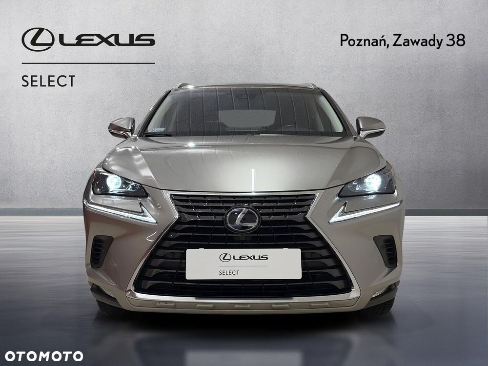 Lexus NX 300h Comfort AWD - 7