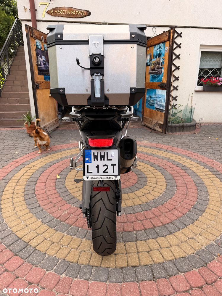 Triumph Tiger - 5