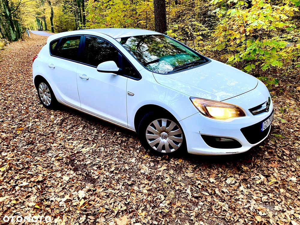 Opel Astra 1.3 CDTI DPF Active - 2