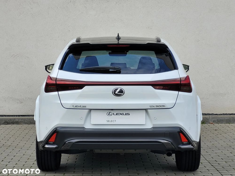 Lexus UX 300h F Sport - 9