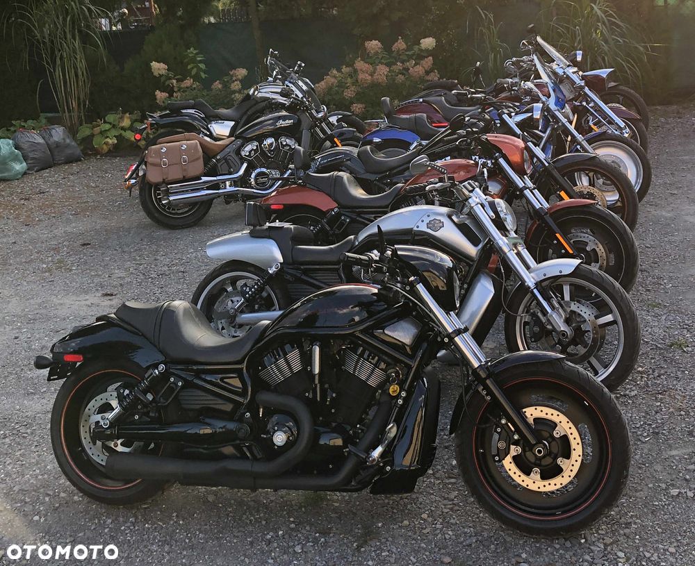 Indian Scout - 31