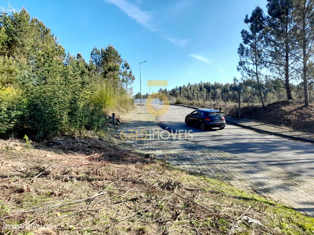 Lote de Terreno  Venda em Nogueira do Cravo e Pindelo,Oliveira de Azem - Grande imagem: 4/10