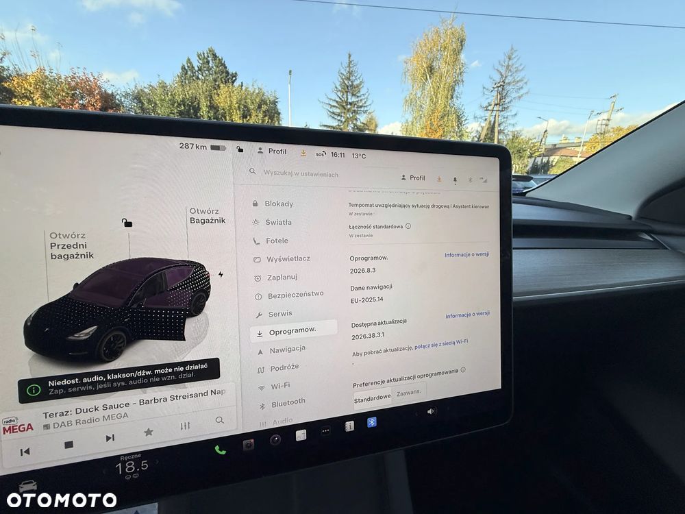 Tesla Model Y Performance AWD - 35